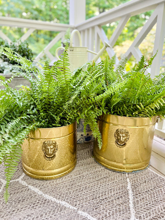 Pair of brass planter