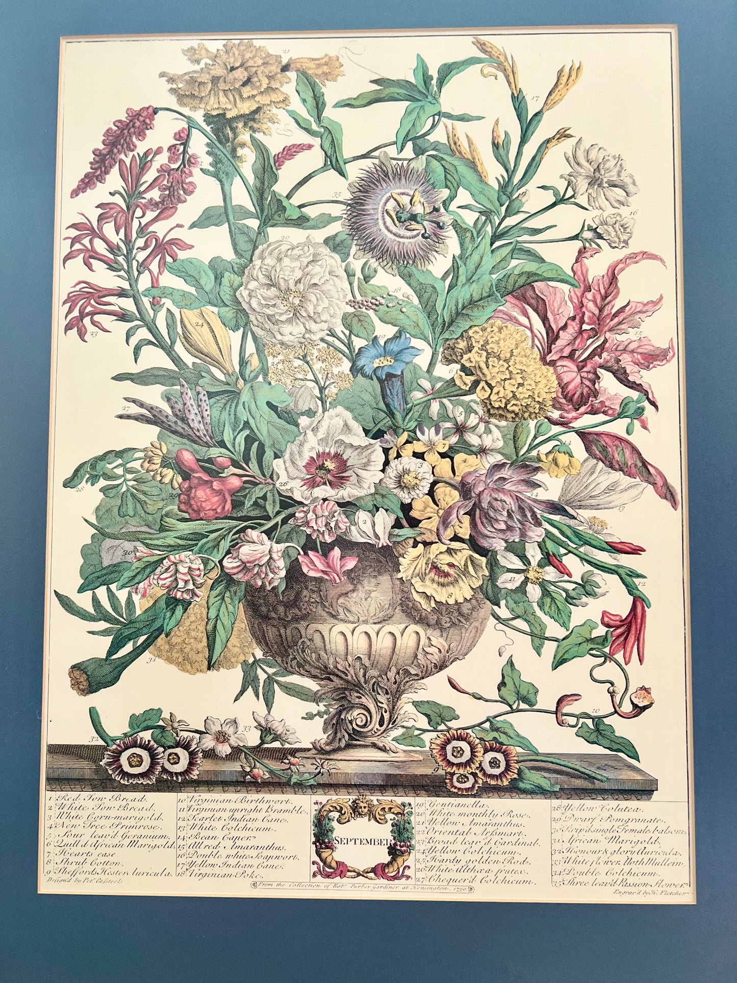 September Framed Print